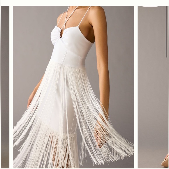Nwt delfi collective fringe dress - Picture 4 of 6